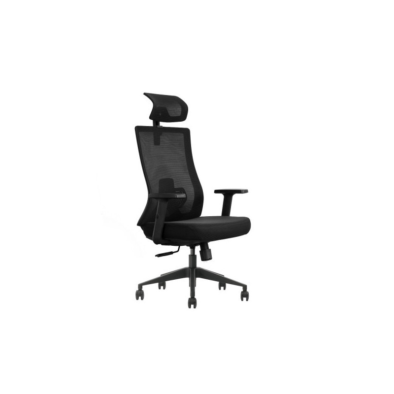 SKILLCHAIRS Ergo Aria (Black)