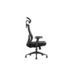 SKILLCHAIRS Ergo Aria (Black)