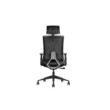 SKILLCHAIRS Ergo Aria (Black)