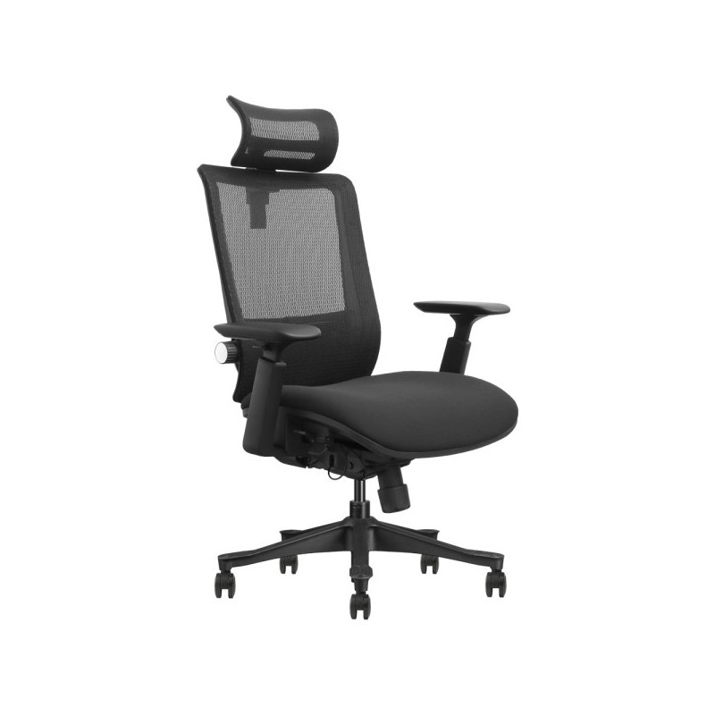 SKILLCHAIRS Ergo Aurora