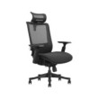 SKILLCHAIRS Ergo Aurora