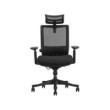 SKILLCHAIRS Ergo Aurora