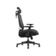 SKILLCHAIRS Ergo Aurora