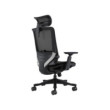 SKILLCHAIRS Ergo Aurora