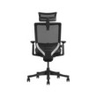 SKILLCHAIRS Ergo Aurora