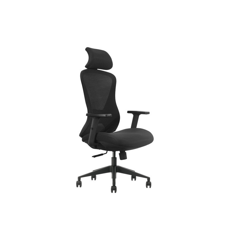 SKILLCHAIRS Ergo Estrella