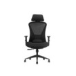 SKILLCHAIRS Ergo Estrella