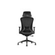 SKILLCHAIRS Ergo Estrella