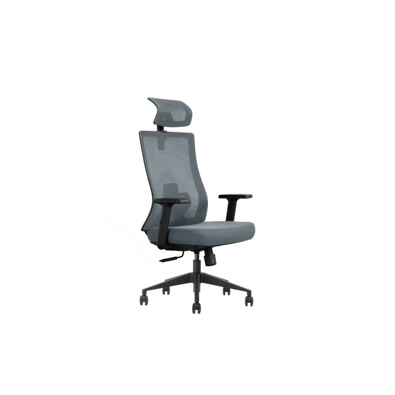 SKILLCHAIRS Ergo Aria (Grey)