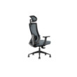 SKILLCHAIRS Ergo Aria (Grey)