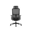 SKILLCHAIRS Ergo Selva