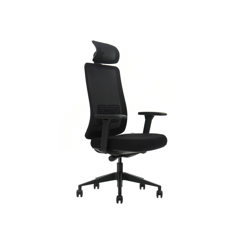 SKILLCHAIRS Ergo Gusto