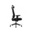 SKILLCHAIRS Ergo Gusto