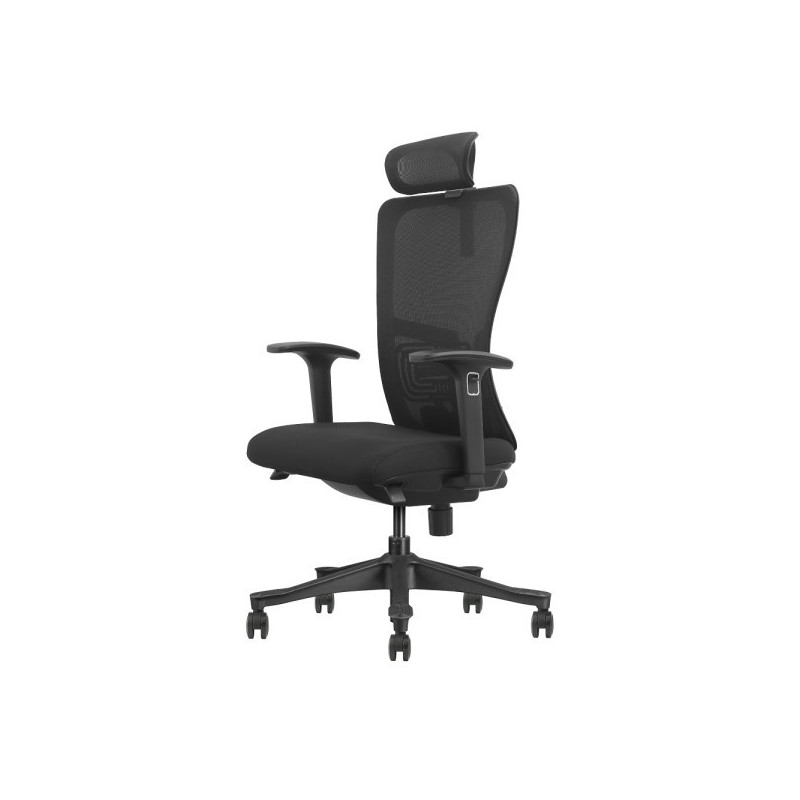 SKILLCHAIRS Ergo Apricity
