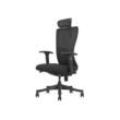 SKILLCHAIRS Ergo Apricity