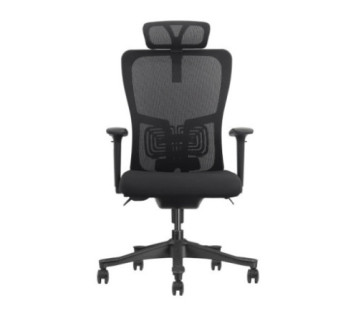 SKILLCHAIRS Ergo Apricity