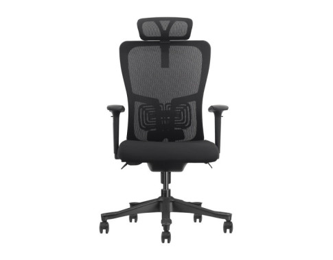 SKILLCHAIRS Ergo Apricity