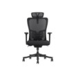 SKILLCHAIRS Ergo Apricity