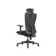 SKILLCHAIRS Ergo Apricity