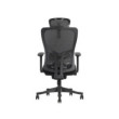 SKILLCHAIRS Ergo Apricity
