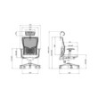 SKILLCHAIRS Ergo Apricity