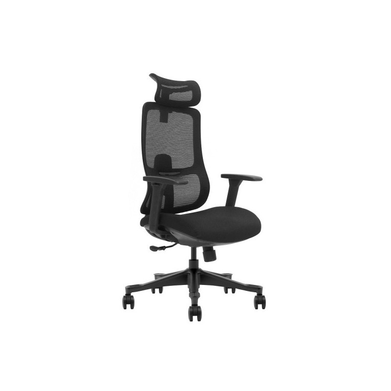 SKILLCHAIRS Ergo Argyros