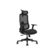 SKILLCHAIRS Ergo Argyros
