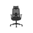 SKILLCHAIRS Ergo Argyros
