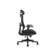 SKILLCHAIRS Ergo Argyros