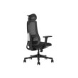 SKILLCHAIRS Ergo Argyros