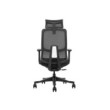 SKILLCHAIRS Ergo Argyros