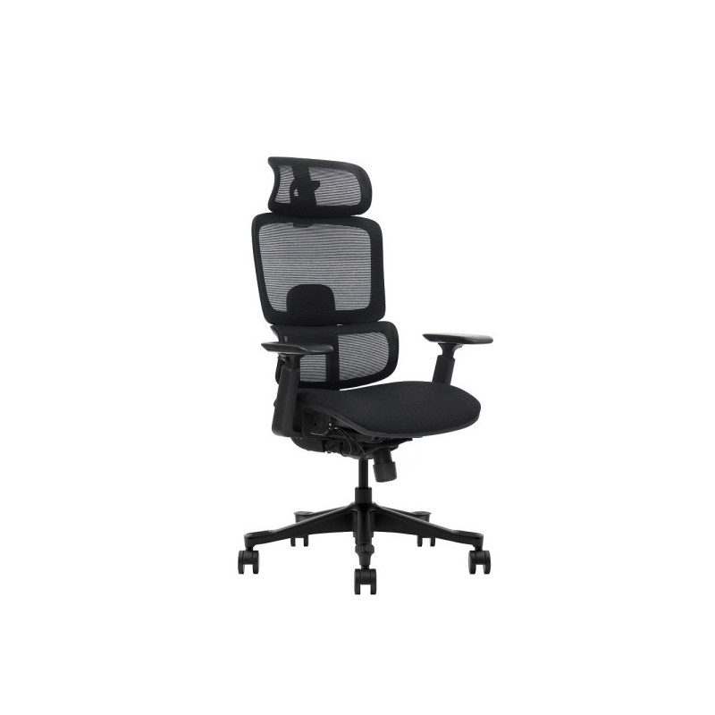 SKILLCHAIRS Ergo Vita