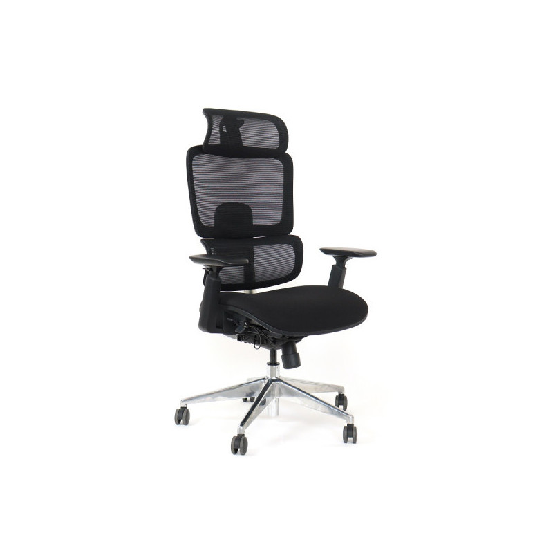 SKILLCHAIRS Ergo Perla