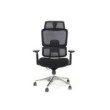 SKILLCHAIRS Ergo Perla
