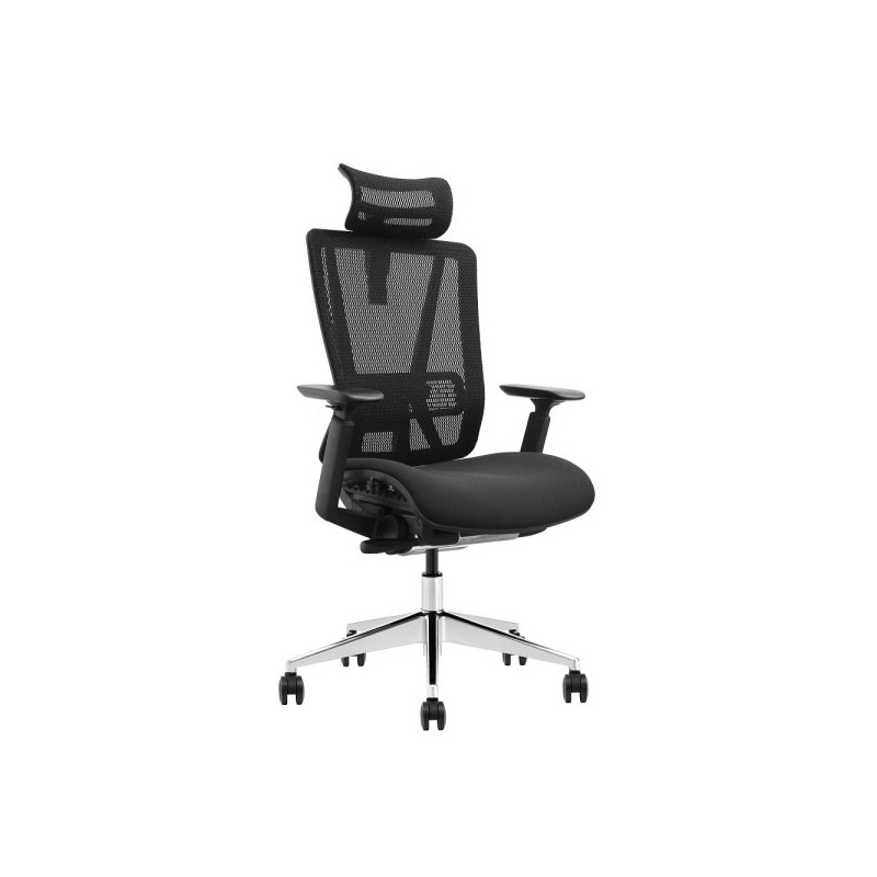 SKILLCHAIRS Ergo Vittoria