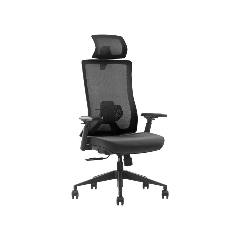 SKILLCHAIRS Ergo Stella
