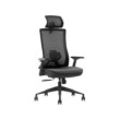 SKILLCHAIRS Ergo Stella
