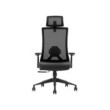 SKILLCHAIRS Ergo Stella