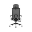 SKILLCHAIRS Ergo Stella