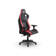 SKILLCHAIRS SC5 RED FURY