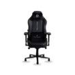 SKILLCHAIRS SC12 MILESTONE
