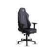 SKILLCHAIRS SC12 MILESTONE