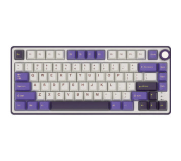 Royal Kludge R75 (Blackberry Mousse) sur PC Gamer Master au Maroc