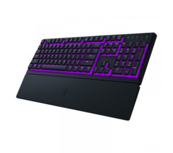 Bundle Razer DeathAdder Essential + Kraken X Lite + Ornata V3 X - Souris Maroc