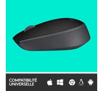 Logitech M171 Wireless Mouse (Noir) - Souris Maroc