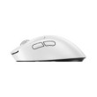 Logitech G Pro X Superlight 2 Lightspeed DEX (White)