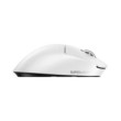 Logitech G Pro X Superlight 2 Lightspeed DEX (White)