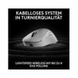 Logitech G Pro X Superlight 2 Lightspeed DEX (White)