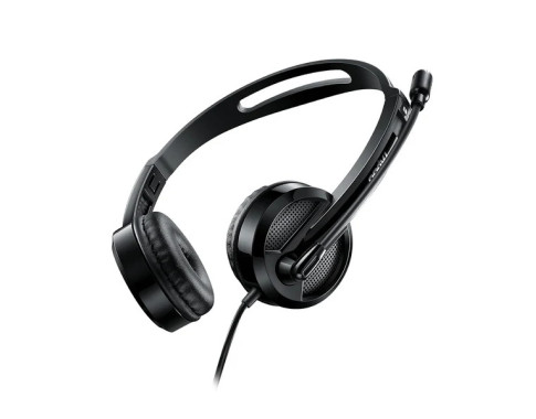 Rapoo H120