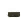 JBL Haut Parleurs Charge 5 Vert